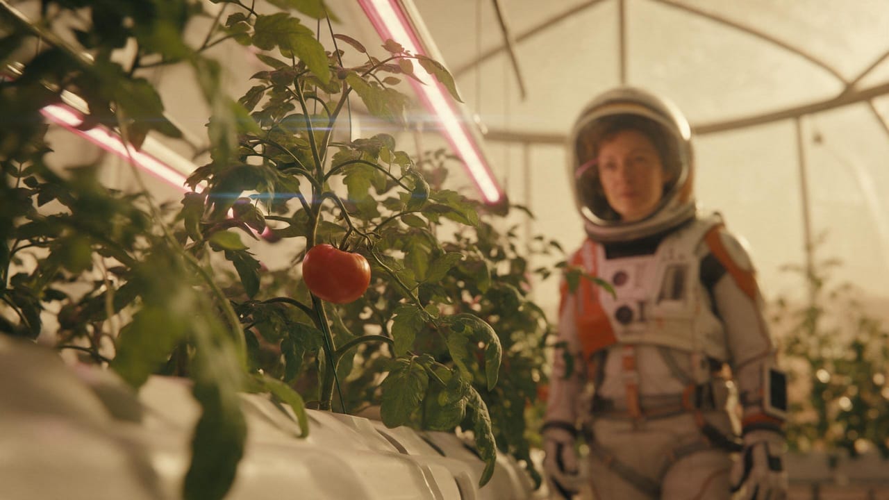 Shot 3, First tomato: the storyboard still